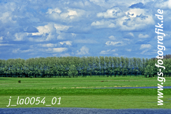 Bild in den Warenkorb legen