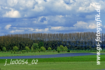 Bild in den Warenkorb legen