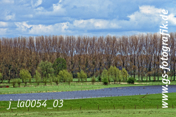 Bild in den Warenkorb legen