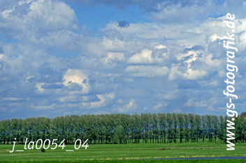 Bild in den Warenkorb legen