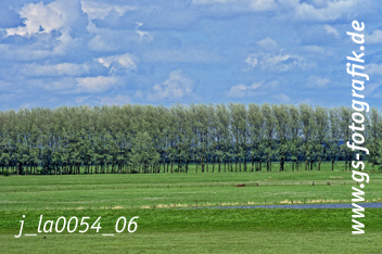 Bild in den Warenkorb legen