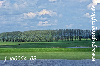 Bild in den Warenkorb legen