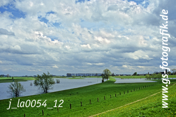 Bild in den Warenkorb legen