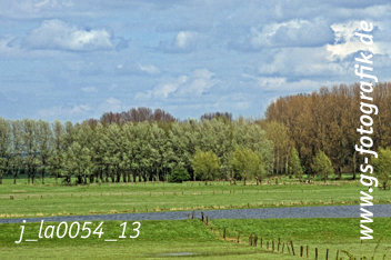 Bild in den Warenkorb legen