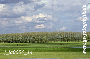 Bild in den Warenkorb legen