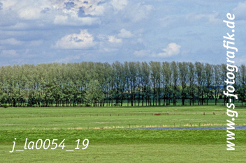 Bild in den Warenkorb legen