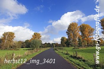 Bild in den Warenkorb legen