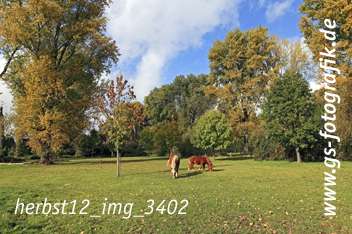 Bild in den Warenkorb legen