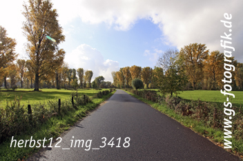 Bild in den Warenkorb legen