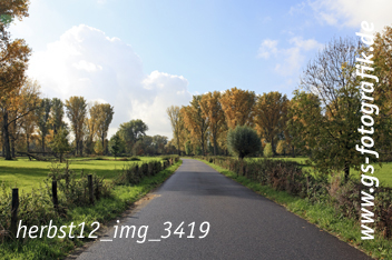 Bild in den Warenkorb legen