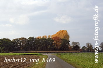 Bild in den Warenkorb legen