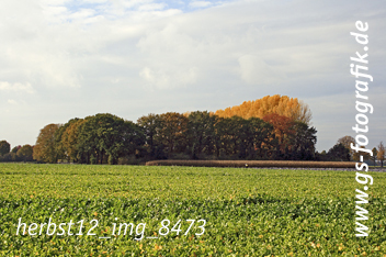 Bild in den Warenkorb legen