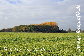 Bild in den Warenkorb legen