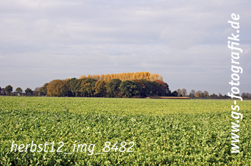 Bild in den Warenkorb legen