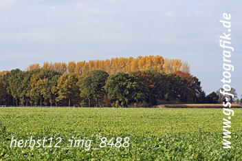 Bild in den Warenkorb legen