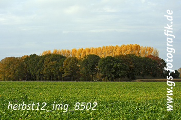 Bild in den Warenkorb legen