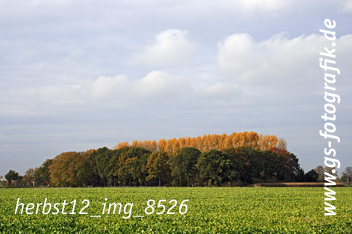 Bild in den Warenkorb legen