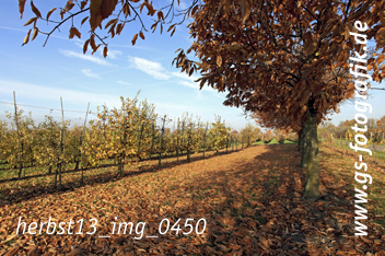 Bild in den Warenkorb legen