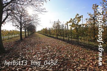 Bild in den Warenkorb legen