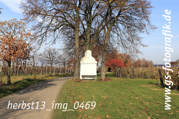 Bild in den Warenkorb legen