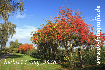 Bild in den Warenkorb legen