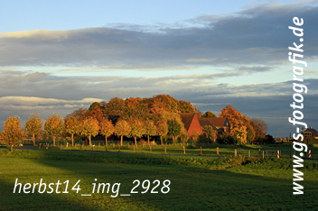 Bild in den Warenkorb legen