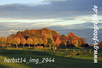 Bild in den Warenkorb legen