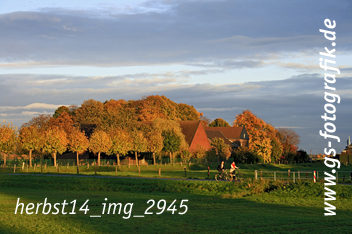 Bild in den Warenkorb legen