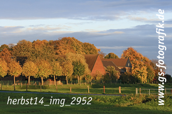 Bild in den Warenkorb legen