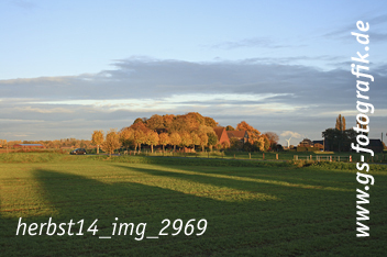 Bild in den Warenkorb legen