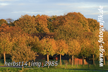 Bild in den Warenkorb legen