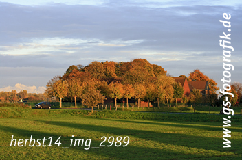 Bild in den Warenkorb legen