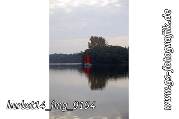 Bild in den Warenkorb legen