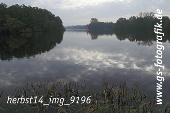 Bild in den Warenkorb legen