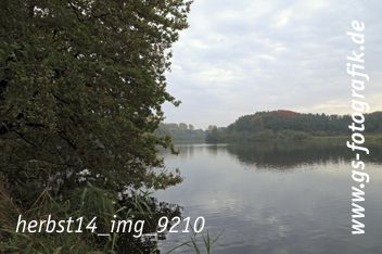 Bild in den Warenkorb legen