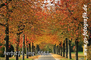 Bild in den Warenkorb legen