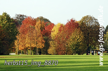 Bild in den Warenkorb legen