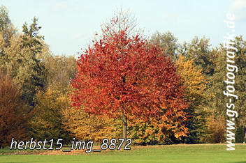 Bild in den Warenkorb legen