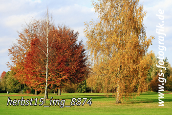 Bild in den Warenkorb legen