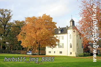 Bild in den Warenkorb legen