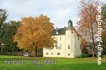 Bild in den Warenkorb legen