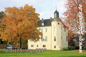 Bild in den Warenkorb legen