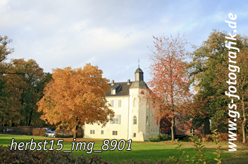 Bild in den Warenkorb legen