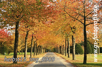 Bild in den Warenkorb legen