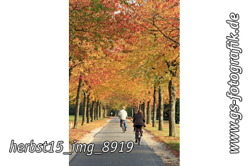 Bild in den Warenkorb legen