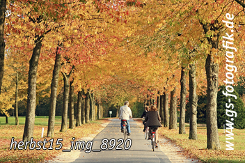 Bild in den Warenkorb legen