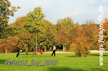 Bild in den Warenkorb legen