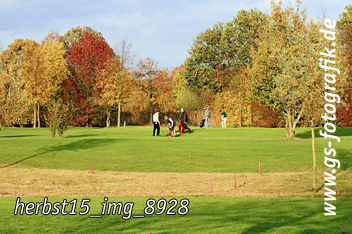 Bild in den Warenkorb legen