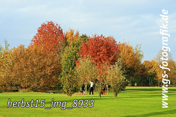 Bild in den Warenkorb legen