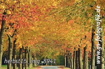 Bild in den Warenkorb legen